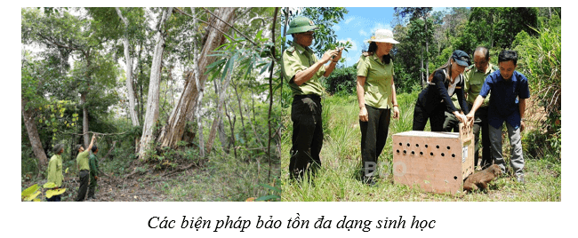 Lý thuyết Sinh học 10 Cánh diều Bài 1: Giới thiệu chương trình môn sinh học. Sinh học và sự phát triển bền vững