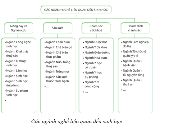 Lý thuyết Sinh học 10 Cánh diều Bài 1: Giới thiệu chương trình môn sinh học. Sinh học và sự phát triển bền vững