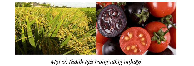 Lý thuyết Sinh học 10 Cánh diều Bài 1: Giới thiệu chương trình môn sinh học. Sinh học và sự phát triển bền vững