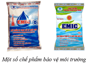 Lý thuyết Sinh học 10 Cánh diều Bài 1: Giới thiệu chương trình môn sinh học. Sinh học và sự phát triển bền vững