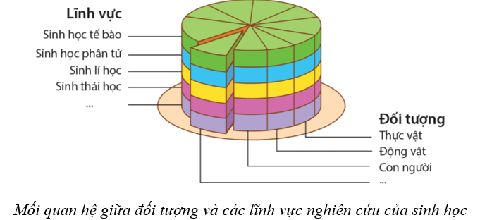 Lý thuyết Sinh học 10 Cánh diều Bài 1: Giới thiệu chương trình môn sinh học. Sinh học và sự phát triển bền vững