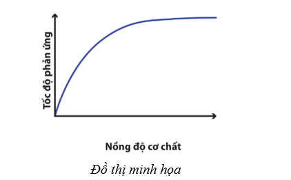 Lý thuyết Sinh học 10 Cánh diều Bài 10: Sự chuyển hóa năng lượng và enzym