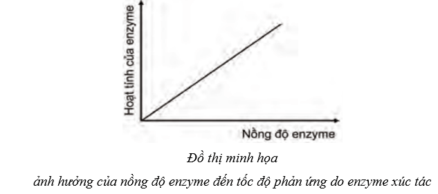 Lý thuyết Sinh học 10 Cánh diều Bài 10: Sự chuyển hóa năng lượng và enzym