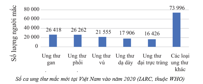 Lý thuyết Sinh học 10 Cánh diều Bài 13: Chu kì tế bào và nguyên phân