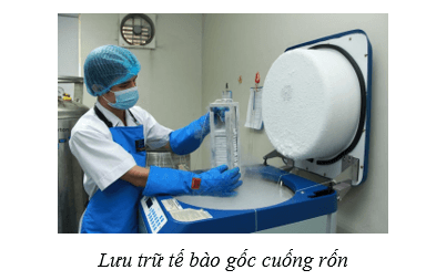 Lý thuyết Sinh học 10 Cánh diều Bài 16: Công nghệ tế bào