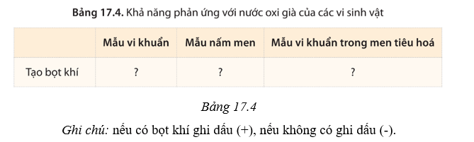 Lý thuyết Sinh học 10 Cánh diều Bài 17: Vi sinh vật và các phương pháp nghiên cứu vi sinh vật