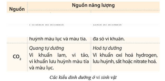 Lý thuyết Sinh học 10 Cánh diều Bài 17: Vi sinh vật và các phương pháp nghiên cứu vi sinh vật