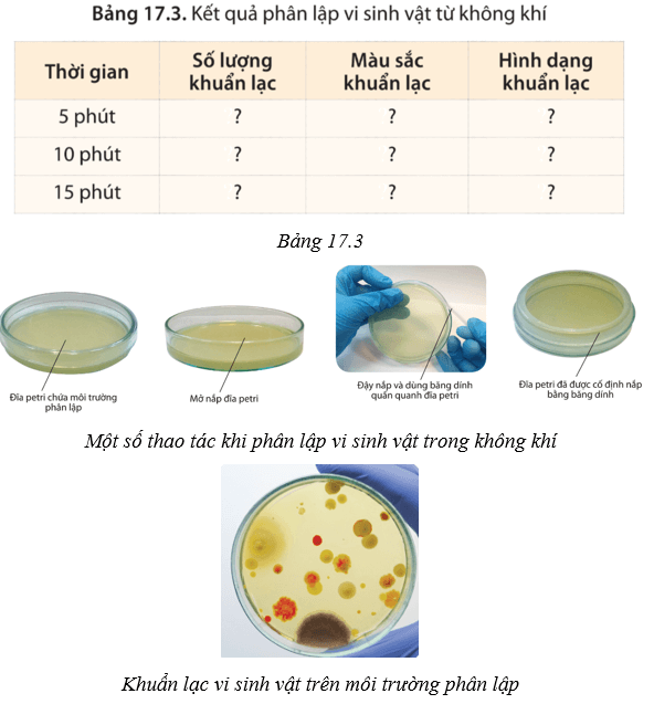 Lý thuyết Sinh học 10 Cánh diều Bài 17: Vi sinh vật và các phương pháp nghiên cứu vi sinh vật