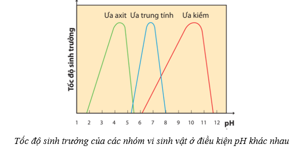 Lý thuyết Sinh học 10 Cánh diều Bài 18: Sinh trưởng và sinh sản ở vi sinh vật