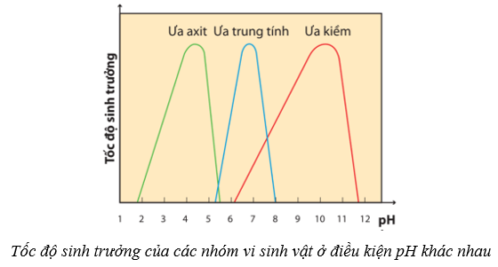 Lý thuyết Sinh học 10 Cánh diều Bài 18: Sinh trưởng và sinh sản ở vi sinh vật