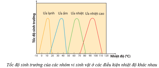 Lý thuyết Sinh học 10 Cánh diều Bài 18: Sinh trưởng và sinh sản ở vi sinh vật