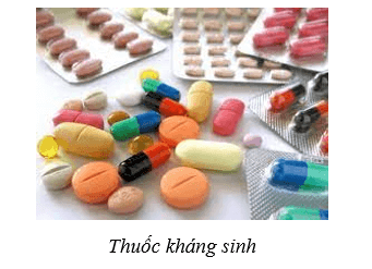 Lý thuyết Sinh học 10 Cánh diều Bài 18: Sinh trưởng và sinh sản ở vi sinh vật