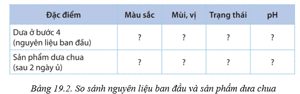 Lý thuyết Sinh học 10 Cánh diều Bài 19: Quá trình tổng họp phân giải ở vi sinh vật và ứng dụng