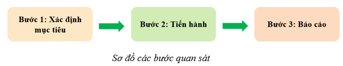 Lý thuyết Sinh học 10 Cánh diều Bài 2: Các phương pháp nghiên cứu và học tập môn Sinh học