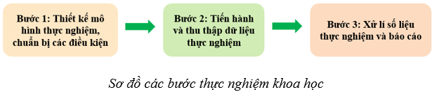 Lý thuyết Sinh học 10 Cánh diều Bài 2: Các phương pháp nghiên cứu và học tập môn Sinh học