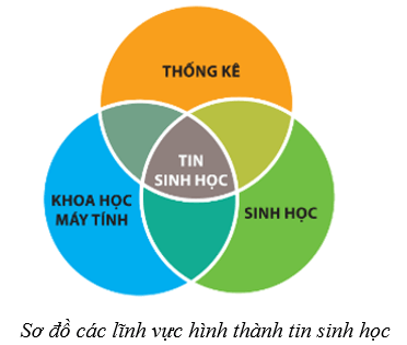 Lý thuyết Sinh học 10 Cánh diều Bài 2: Các phương pháp nghiên cứu và học tập môn Sinh học