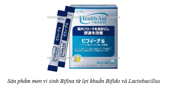 Lý thuyết Sinh học 10 Cánh diều Bài 20: Thành tựu của công nghệ vi sinh vật và ứng dụng của vi sinh vật