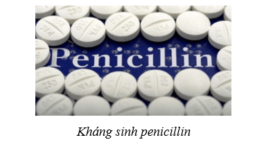 Lý thuyết Sinh học 10 Cánh diều Bài 20: Thành tựu của công nghệ vi sinh vật và ứng dụng của vi sinh vật