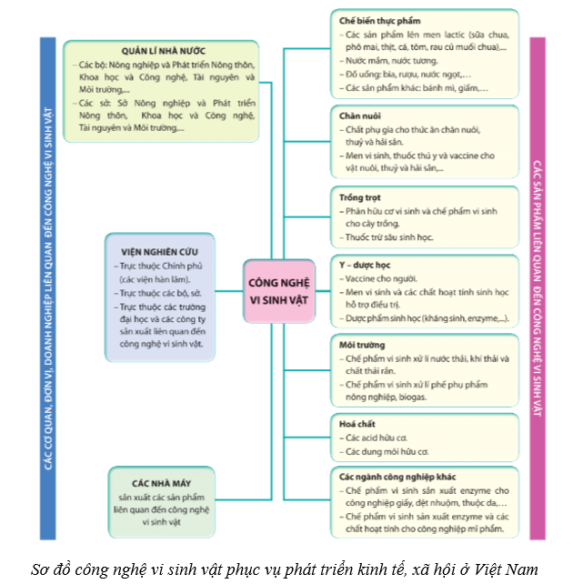Lý thuyết Sinh học 10 Cánh diều Bài 20: Thành tựu của công nghệ vi sinh vật và ứng dụng của vi sinh vật