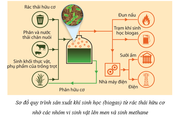 Lý thuyết Sinh học 10 Cánh diều Bài 20: Thành tựu của công nghệ vi sinh vật và ứng dụng của vi sinh vật