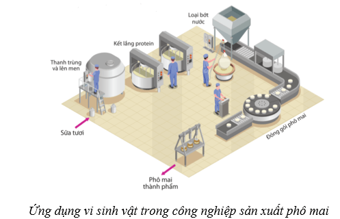 Lý thuyết Sinh học 10 Cánh diều Bài 20: Thành tựu của công nghệ vi sinh vật và ứng dụng của vi sinh vật