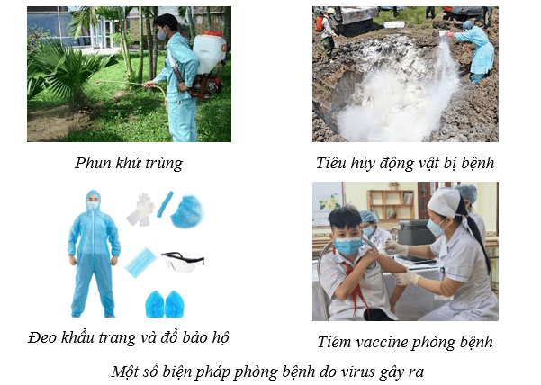 Lý thuyết Sinh học 10 Cánh diều Bài 22: Phương thức lây truyền, cách phòng chống và ứng dụng của virus