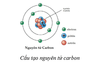 Lý thuyết Sinh học 10 Cánh diều Bài 5: Các nguyên tố hóa học và nước