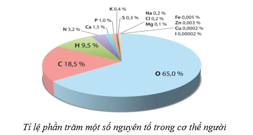 Lý thuyết Sinh học 10 Cánh diều Bài 5: Các nguyên tố hóa học và nước