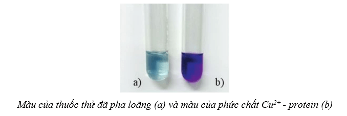 Lý thuyết Sinh học 10 Cánh diều Bài 6: Các phân tử sinh học