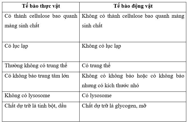 Lý thuyết Sinh học 10 Cánh diều Bài 7: Tế bào nhân sơ và tế bào nhân thực