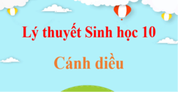 Tóm tắt Lý thuyết Sinh 10 Cánh diều (hay, ngắn gọn) | Kiến thức trọng tâm Sinh học 10