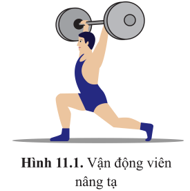 Vận động viên cử tạ (hình 11.1) tiêu tốn rất nhiều năng lượng cho mỗi lần nâng tạ