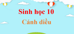 Sinh 10 Cánh diều | Giải Sinh 10 | Giải Sinh lớp 10 | Giải bài tập Sinh học 10 hay nhất, ngắn gọn | Sinh học 10 Cánh diều