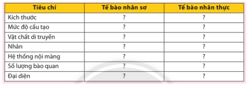 Phân biệt tế bào nhân sơ và tế bào nhân thực bằng cách hoàn thành bảng sau