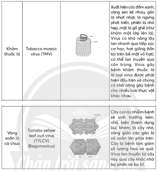 Hãy liệt kê một số bệnh do virus gây ra ở thực vật, động vật và người