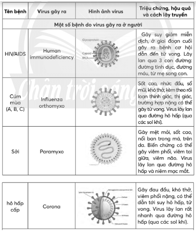 Hãy liệt kê một số bệnh do virus gây ra ở thực vật, động vật và người