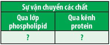 Hãy cho biết các chất CO2, O2, H2O, NaCl, vitamin A, glucose được vận chuyển qua màng