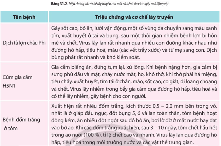 Dựa vào triệu chứng và cơ chế lây truyền của một số bệnh do virus gây