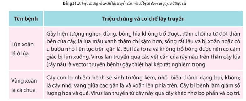 Dựa vào triệu chứng và cơ chế lây truyền của một số bệnh do virus gây