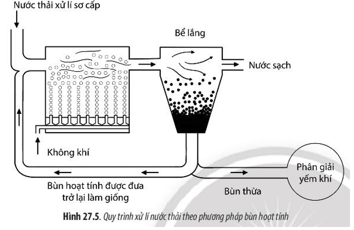 Quan sát Hình 27.5 và 27.6, hãy mô tả quá trình xử lí nước thải bằng phương pháp