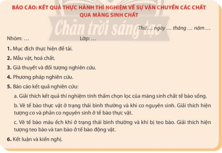 Viết và trình bày báo cáo theo mẫu