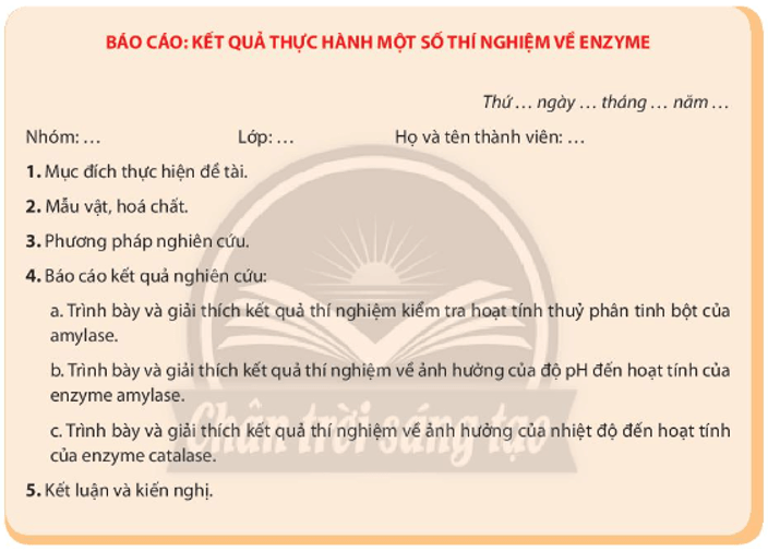 Viết và trình bày báo cáo theo mẫu