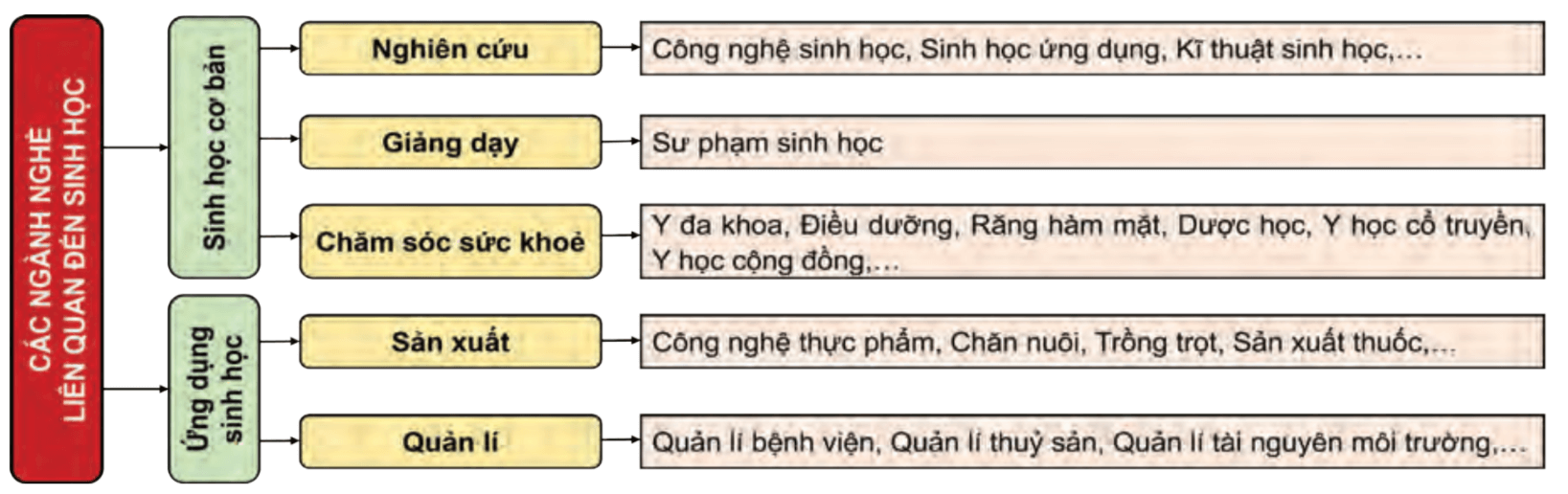 Lý thuyết Sinh 10 Chân trời sáng tạo Bài 1: Giới thiệu khái quát chương trình môn Sinh học