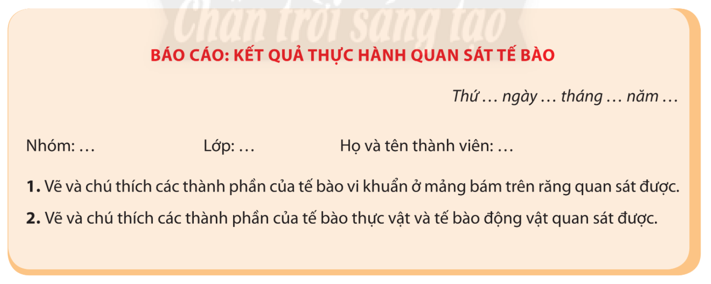 Lý thuyết Sinh 10 Chân trời sáng tạo Bài 10: Thực hành: Quan sát tế bào