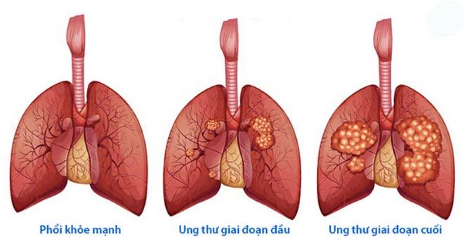 Lý thuyết Sinh 10 Chân trời sáng tạo Bài 18: Chu kỳ tế bào