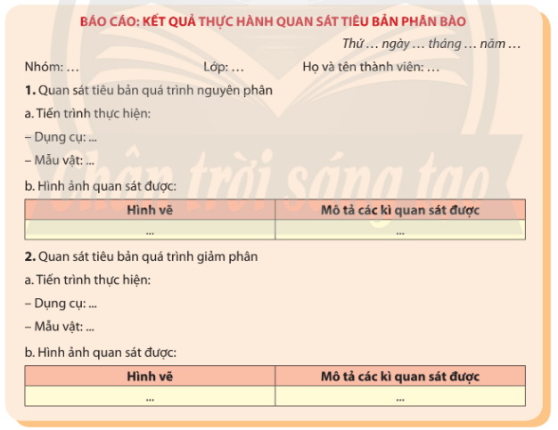 Lý thuyết Sinh học 10 Chân trời sáng tạo Bài 20: thực hành: quan sát tiêu bản các kì phân bào nguyên phân và giảm phân