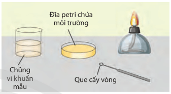 Lý thuyết Sinh 10 Chân trời sáng tạo Bài 23: Thực hành: Một số phương pháp nghiên cứu vi sinh vật