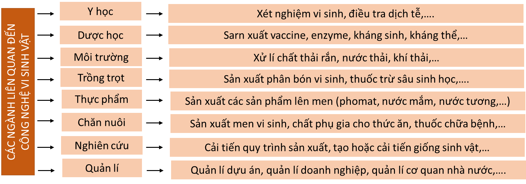 Lý thuyết Sinh 10 Chân trời sáng tạo Bài 26: Công nghệ vi sinh vật