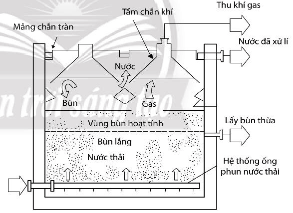 Lý thuyết Sinh 10 Chân trời sáng tạo Bài 27: Ứng dụng vi sinh vật trong thực tiễn