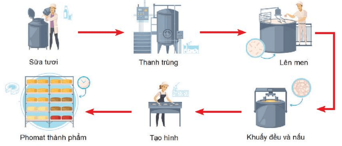 Lý thuyết Sinh 10 Chân trời sáng tạo Bài 27: Ứng dụng vi sinh vật trong thực tiễn